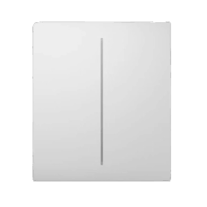 Ajax CenterButton (2-gang) [55] white - Image 1