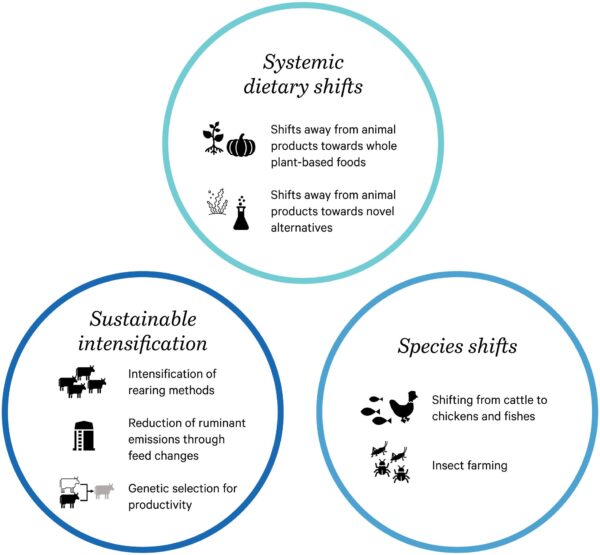 510p wtr oto 374 evo 2