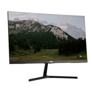 2E D2425B monitor, left angle view