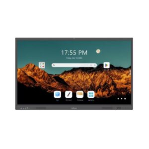 InFocus IN6513 D011 Monitor