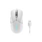 Lenovo GY51H47351/GE